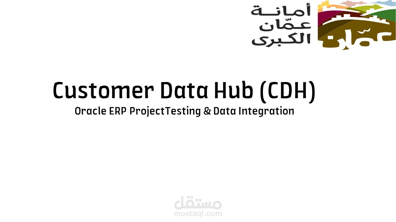 Customer Data Hub (CDH)