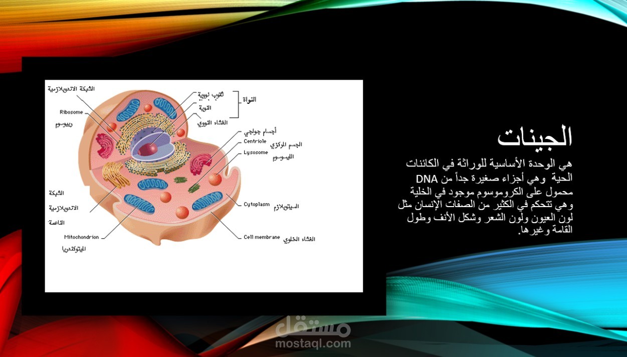 مقدمة في علم الجينات ووظائفها الحيوية