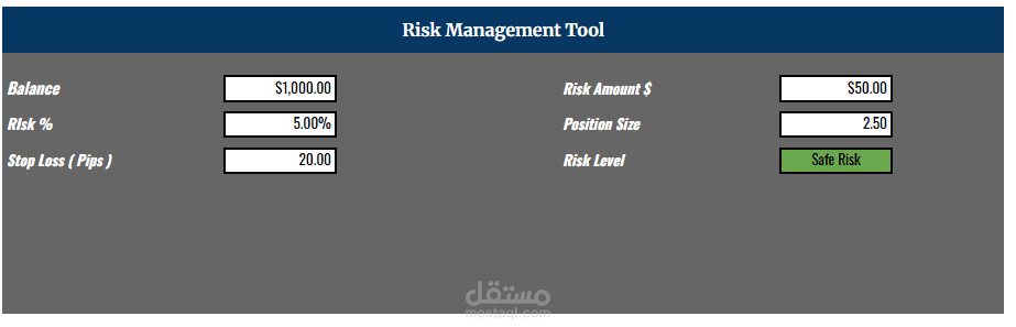 Risk Management Template