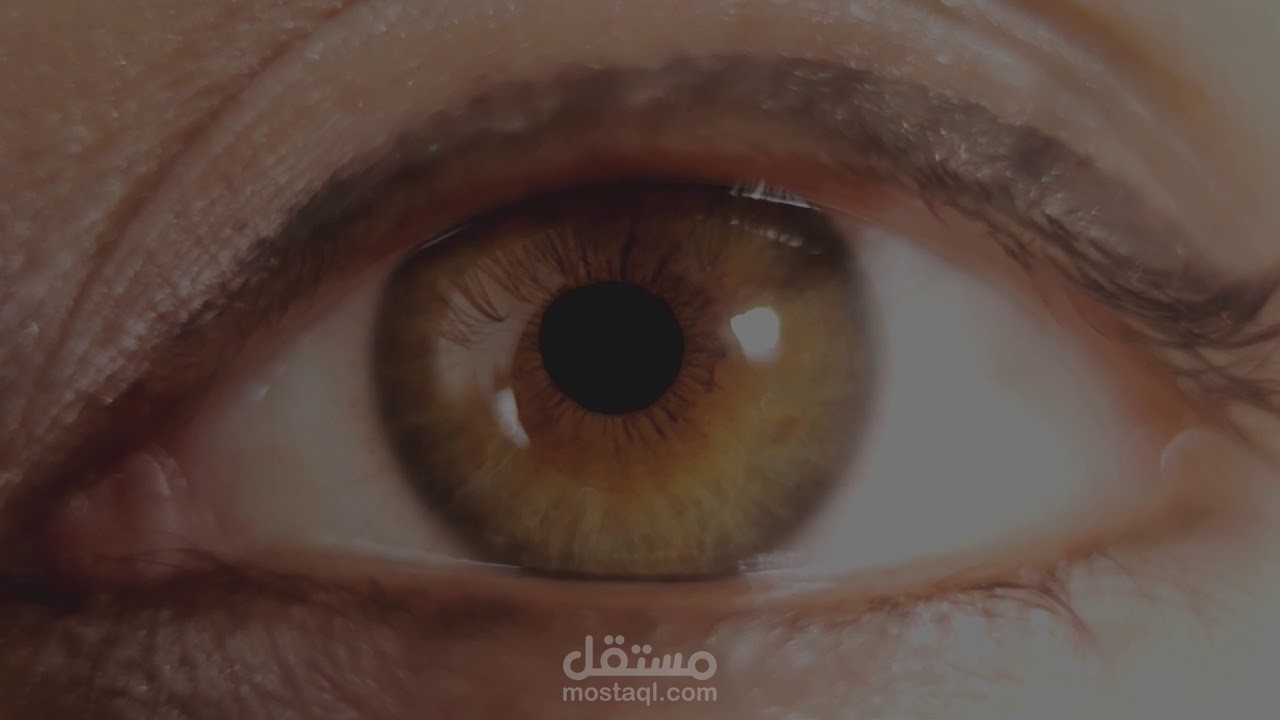 short enthusiastic montage2