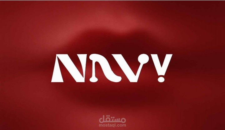 Navy project