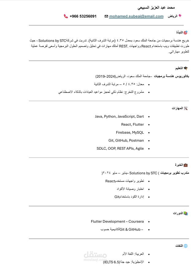سيرة لمهندس برمجيات
