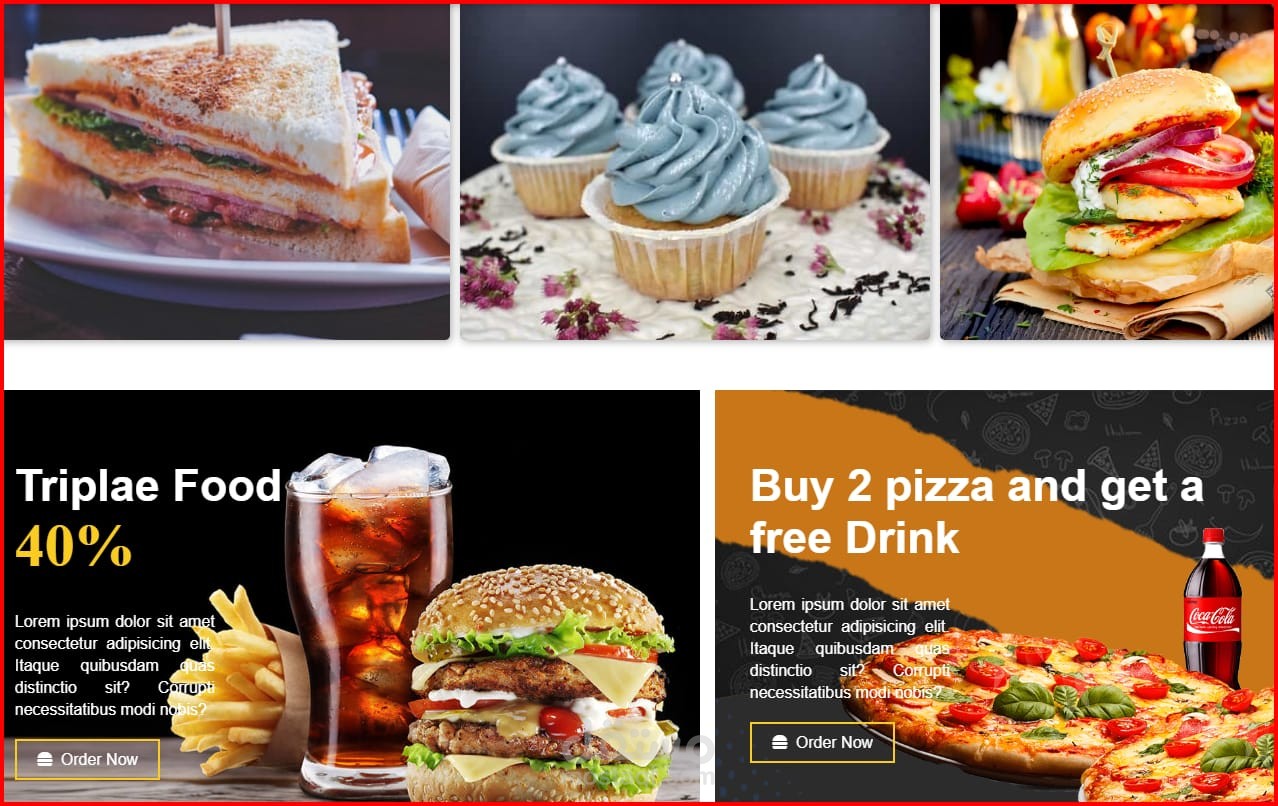 Food Delivery Website