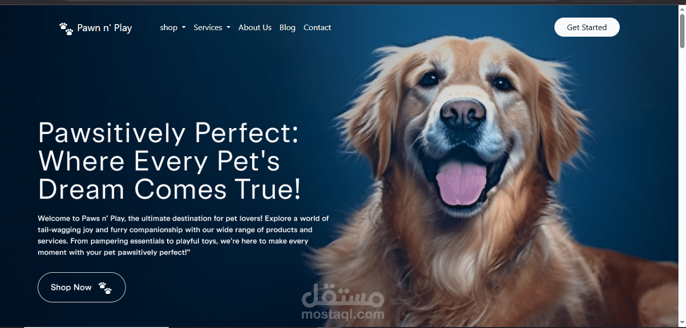 Paw-Clinic / Paws n’ Play