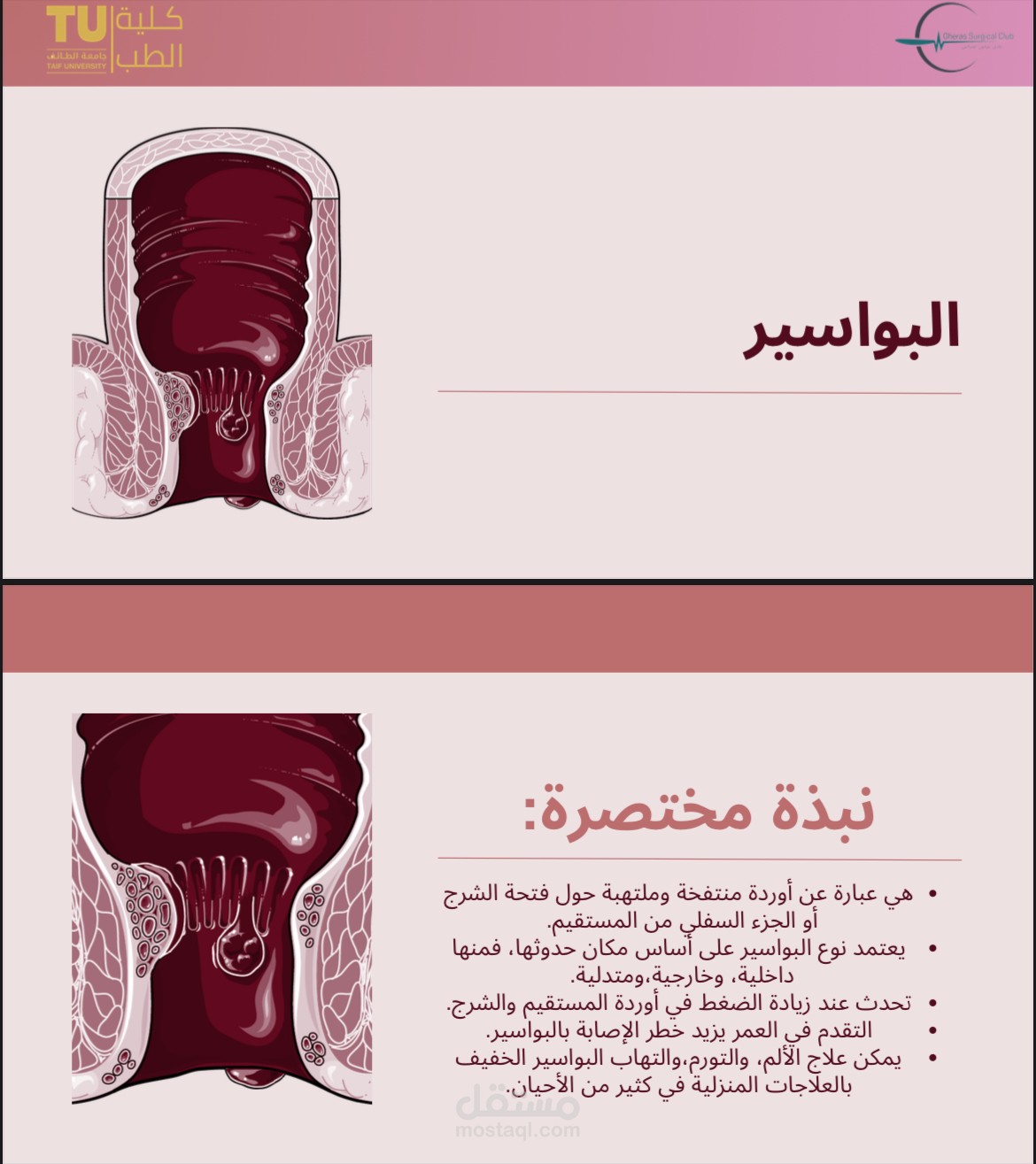 مشروع دراسي