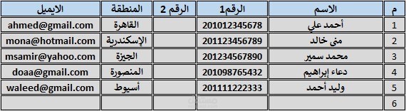 إدخال بيانات عملاء على Excel – نموذج احترافي منسّق