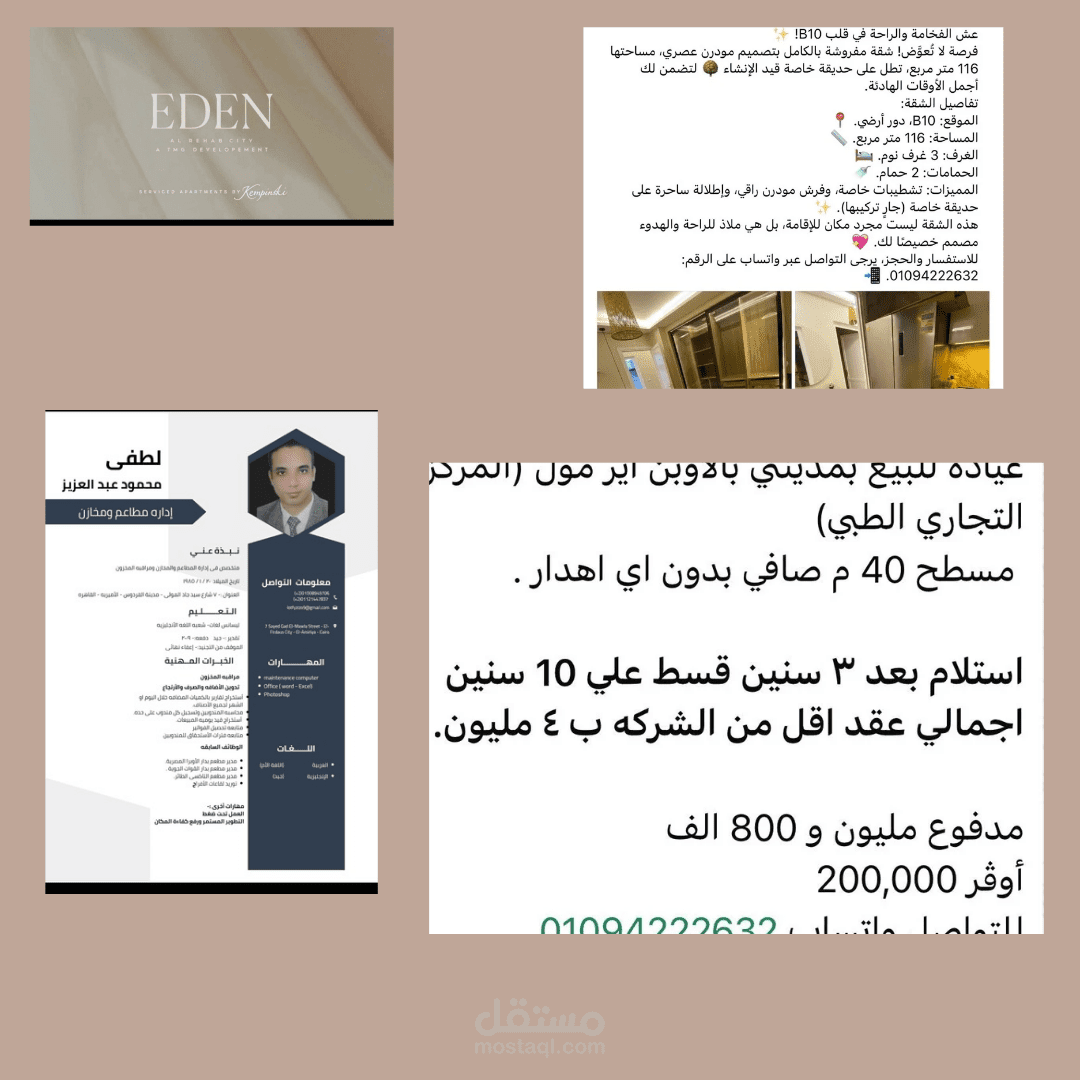 كتابة سيرة ذاتية احترافية