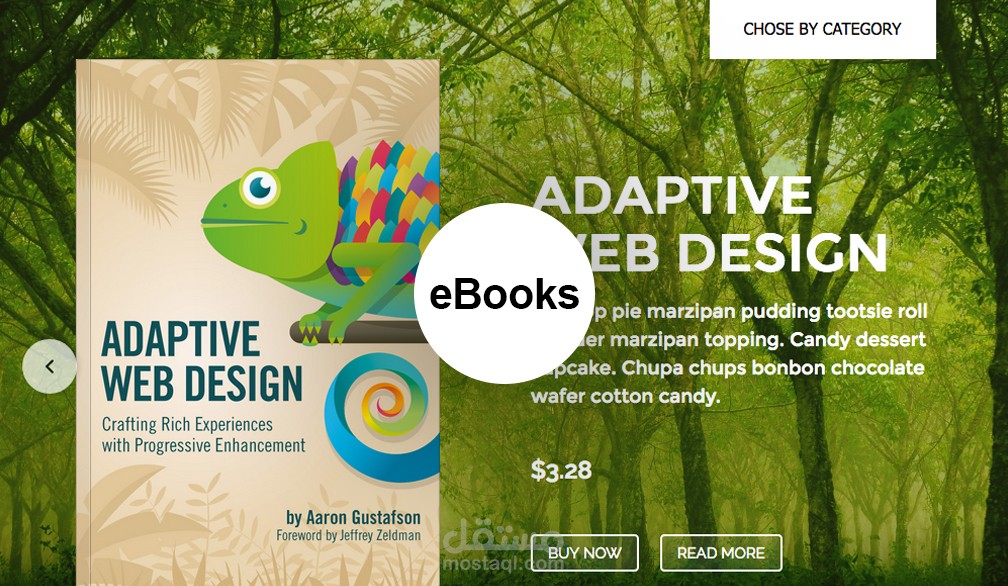 eBooks Premium WP Theme
