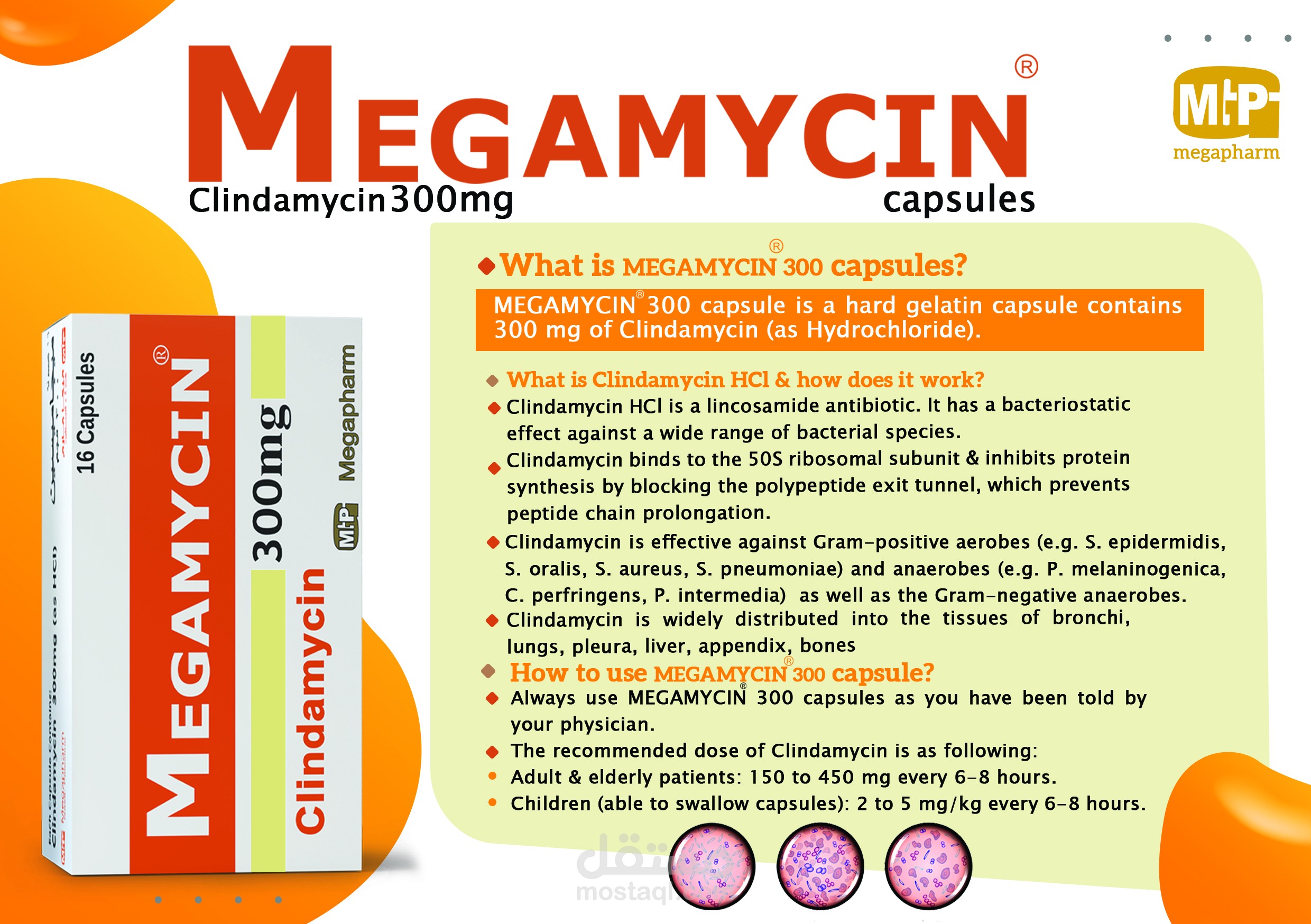 تصميم بروشور