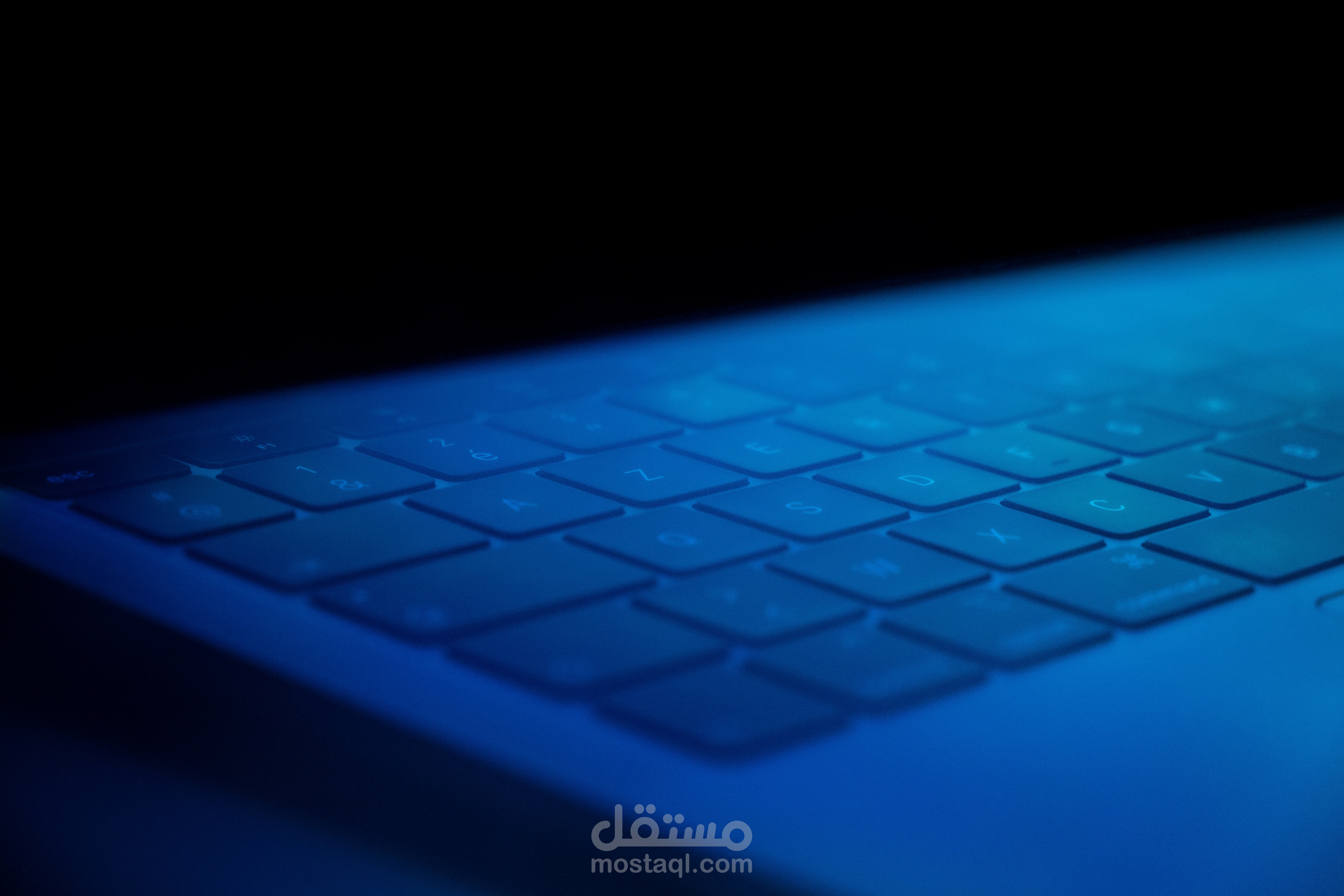 تصميم موقع كامل