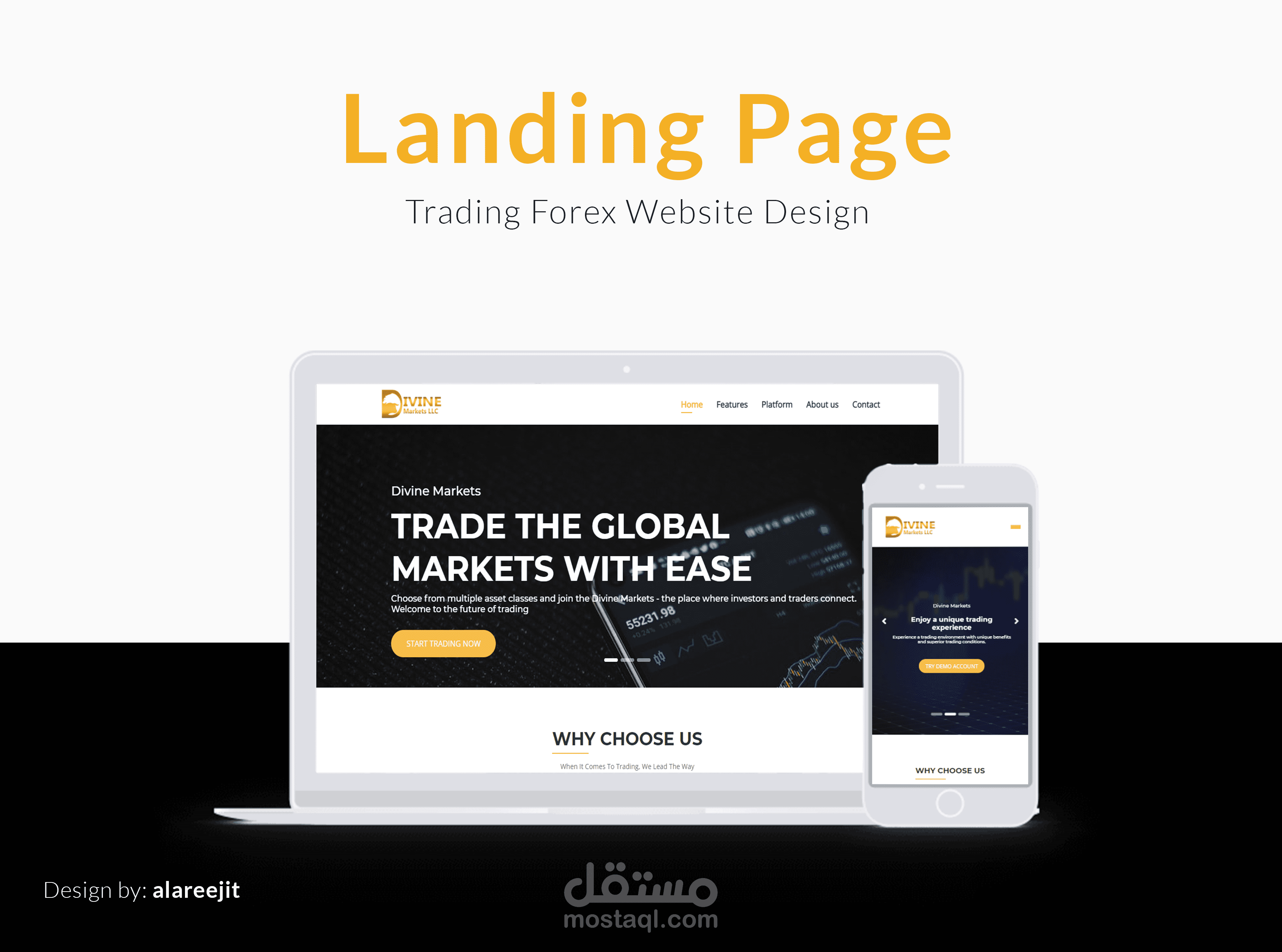صفحة هبوط Landing Page