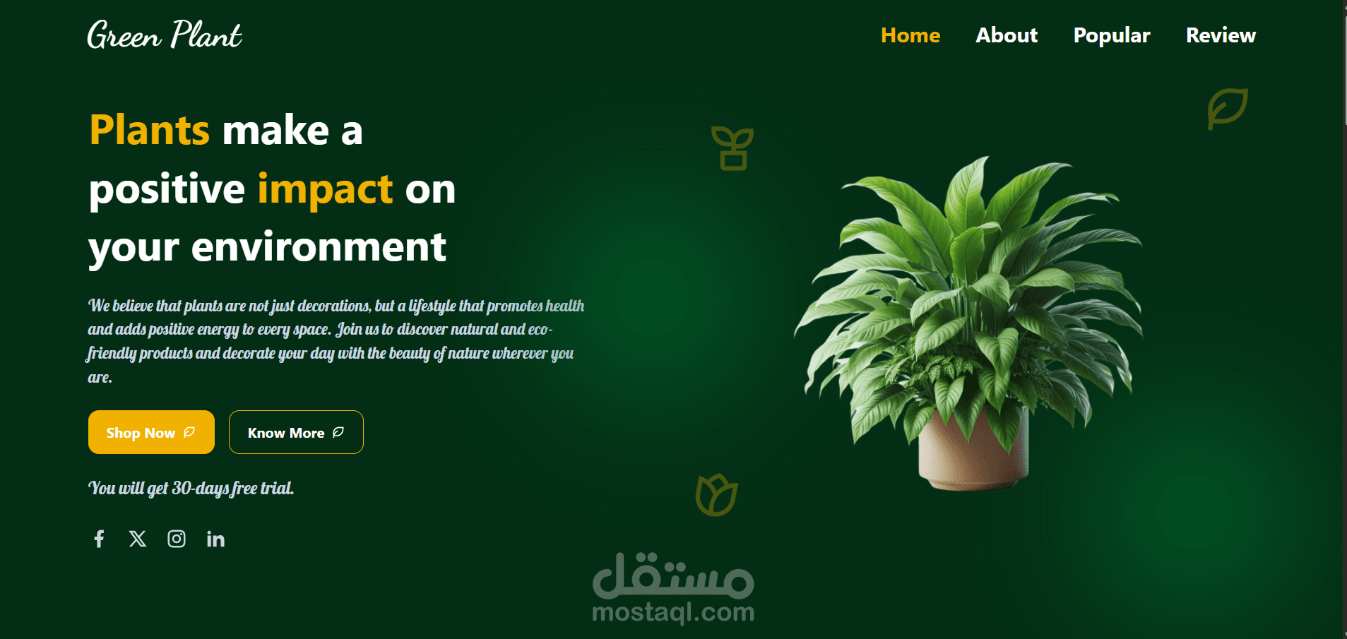 Green Plant(Landing Page)