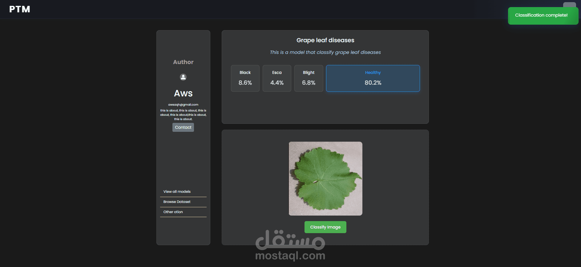 Portable Teachable Machine