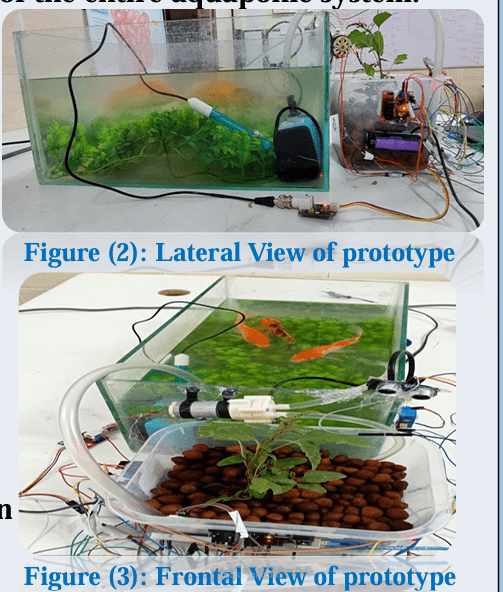 Towards automated aquaponics: about  monitoring and smart systems