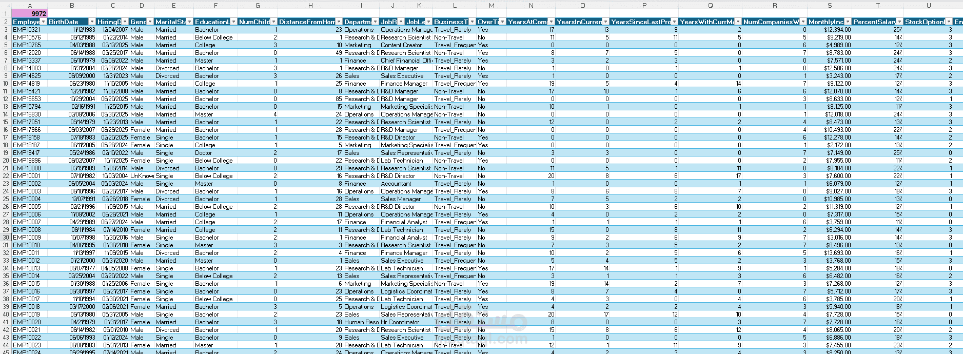 تنظيف بيانات الموارد البشرية