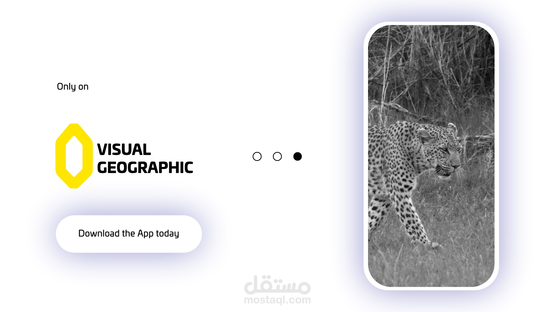 Motion Graphics Video – Personal Concept Project