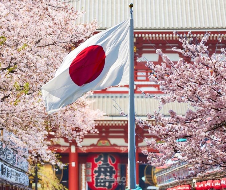 كتابة محتوى عربي أصلي