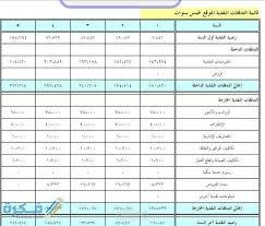 دراسة جدوى اقتصادية للمشاريع الناشئة