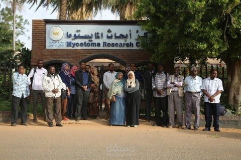 Assessment of Antibiotic Resistance in Actinomycetoma Patients in Sudan (2020-2025)