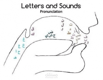 ترجمة ملف مكون من صفحتين و متعلق بعلم الصوتيات اللغة العربية.