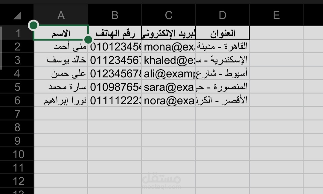 إدخال وتنظيم بيانات العملاء باستخدام Excel