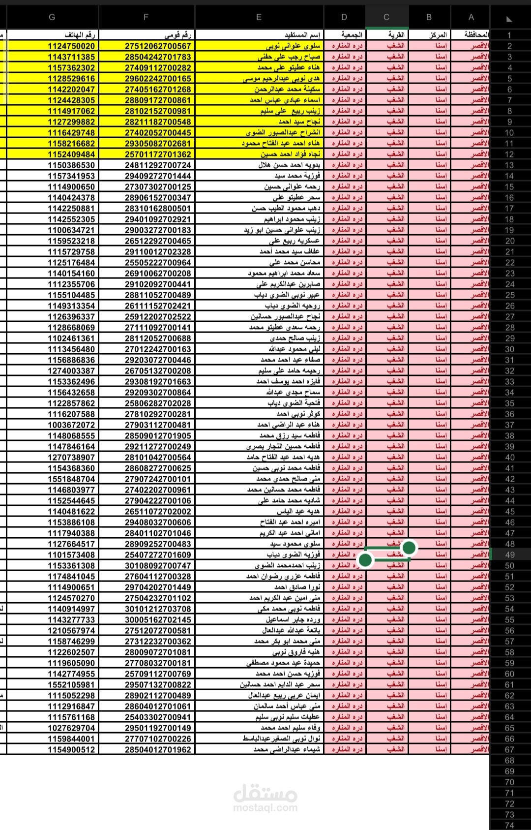 إدخال وتنظيم بيانات المستفيدين (Excel شامل – الاسم، العنوان، الرقم القومي، النشاط)
