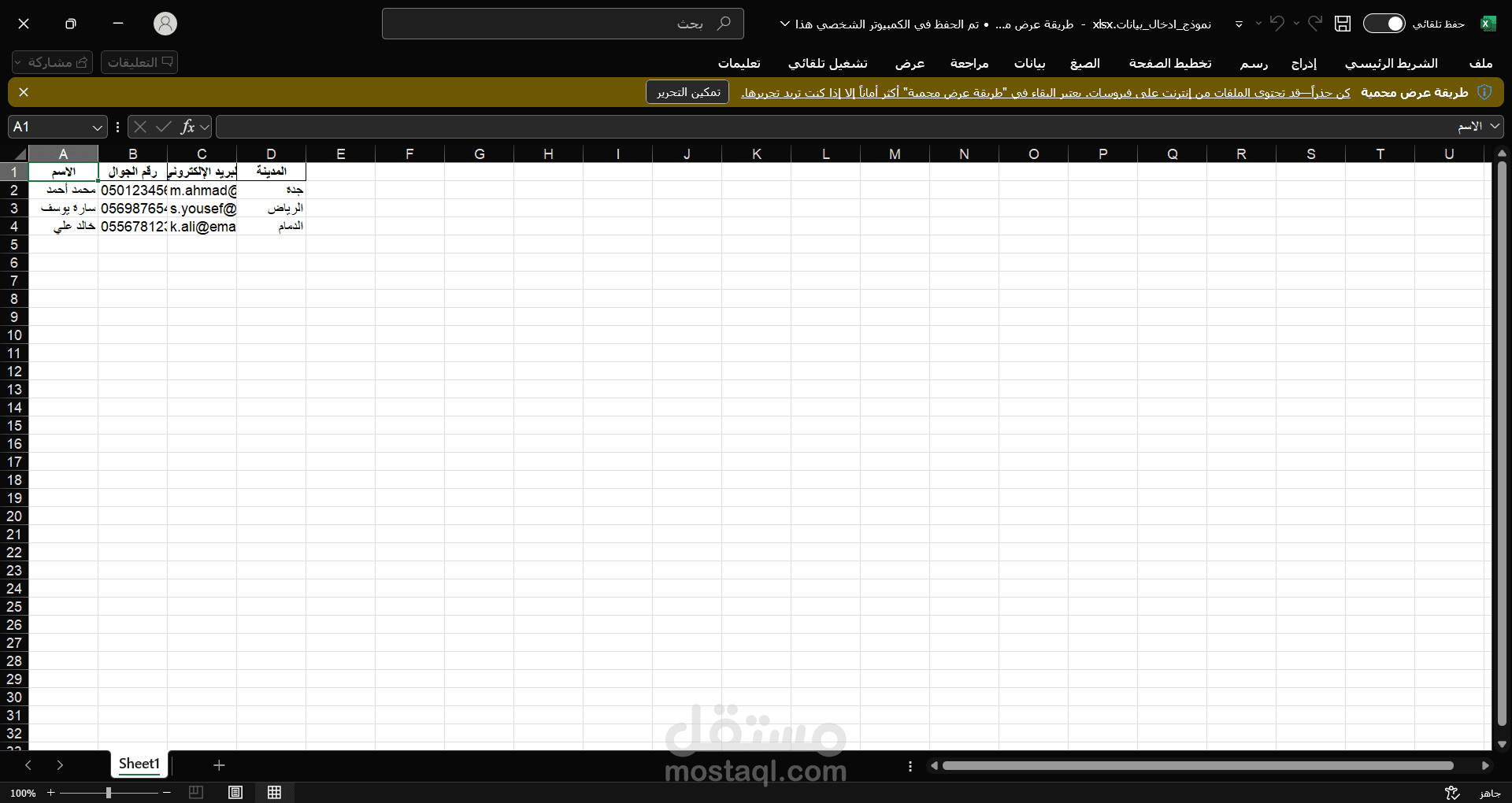 نموذج إدخال بيانات باستخدام Excel