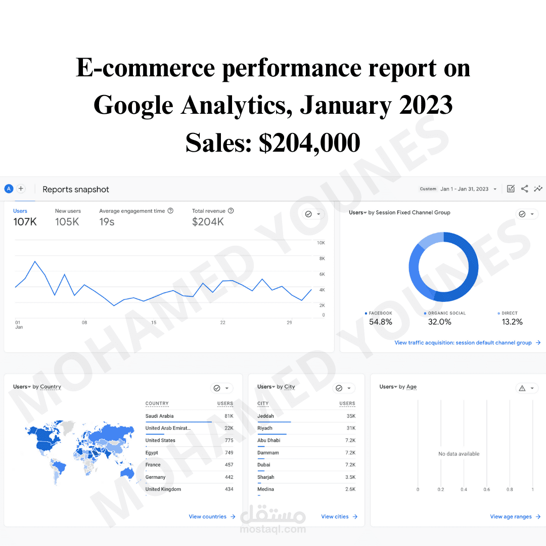 E-commerce performance report on Google Analytics, January 2023 Sales: $204,000