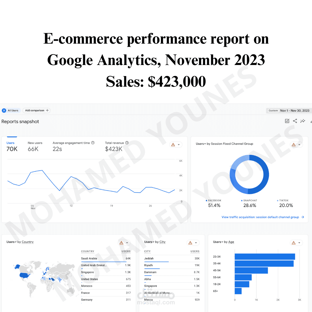 E-commerce performance report on Google Analytics, November 2023 Sales: $423,000