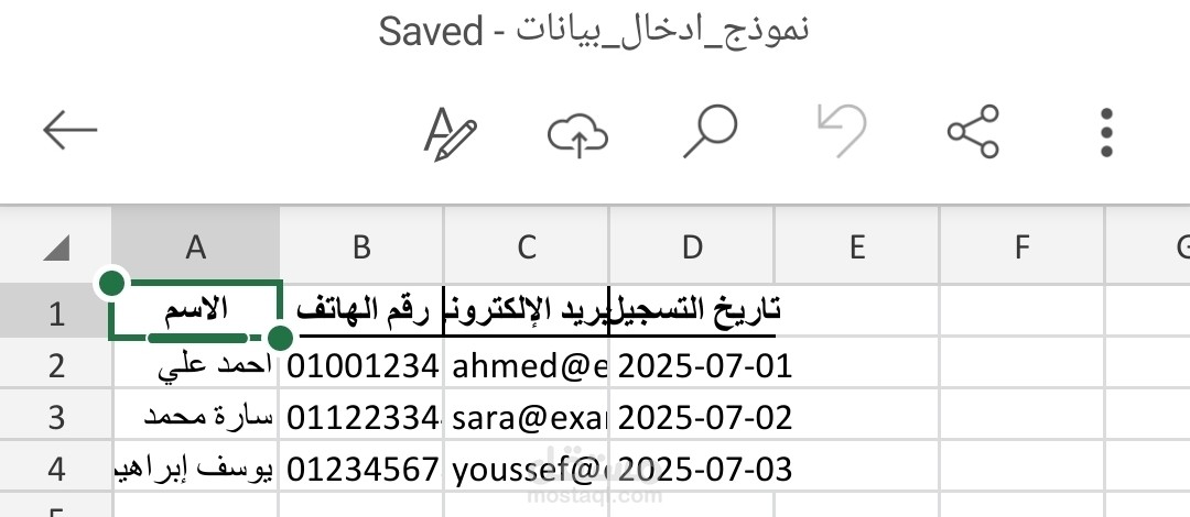 نموذج ادخال بيانات وتنسيق ملفات
