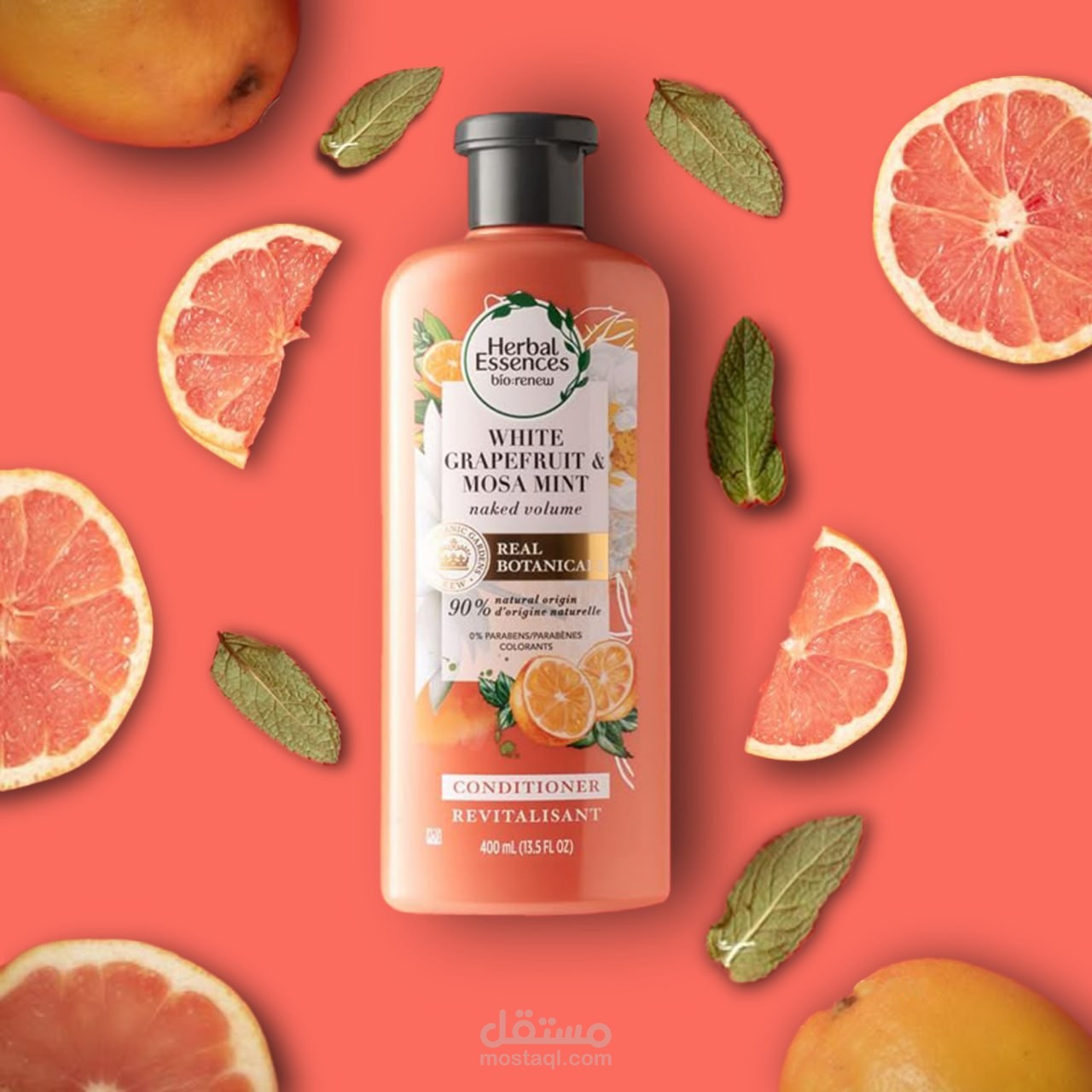 سوشال ميديا