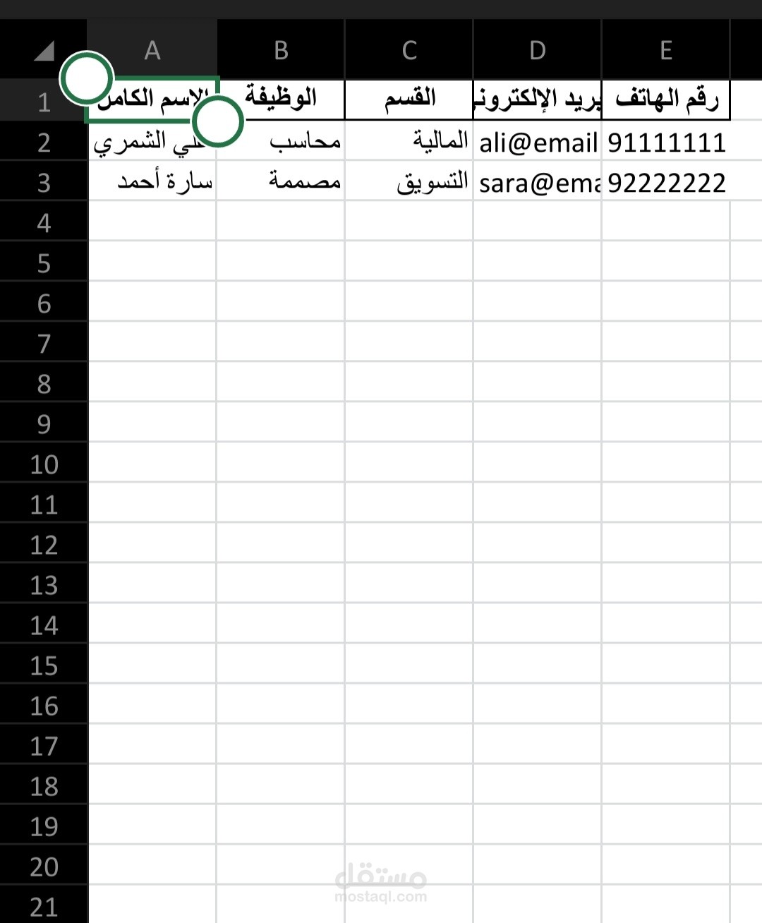 إدخال وتنسيق بيانات موظفين في جدول مرتب