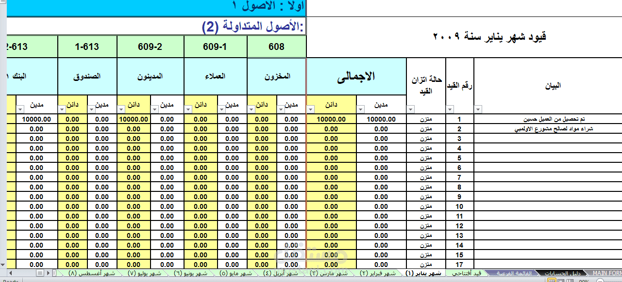 ادخال البيانات في الحسابات العامة والقوائم المالية
