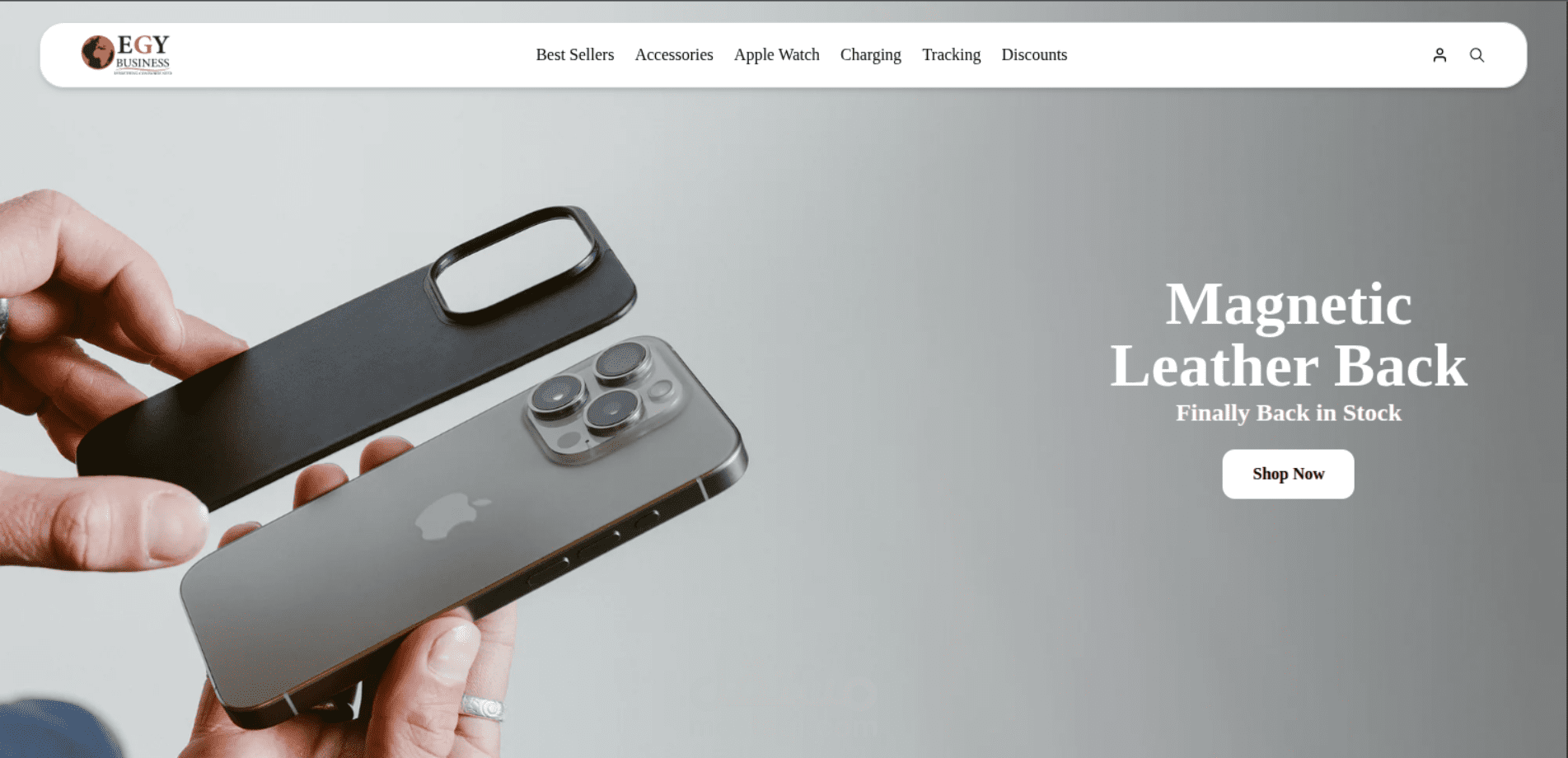 ecommerce