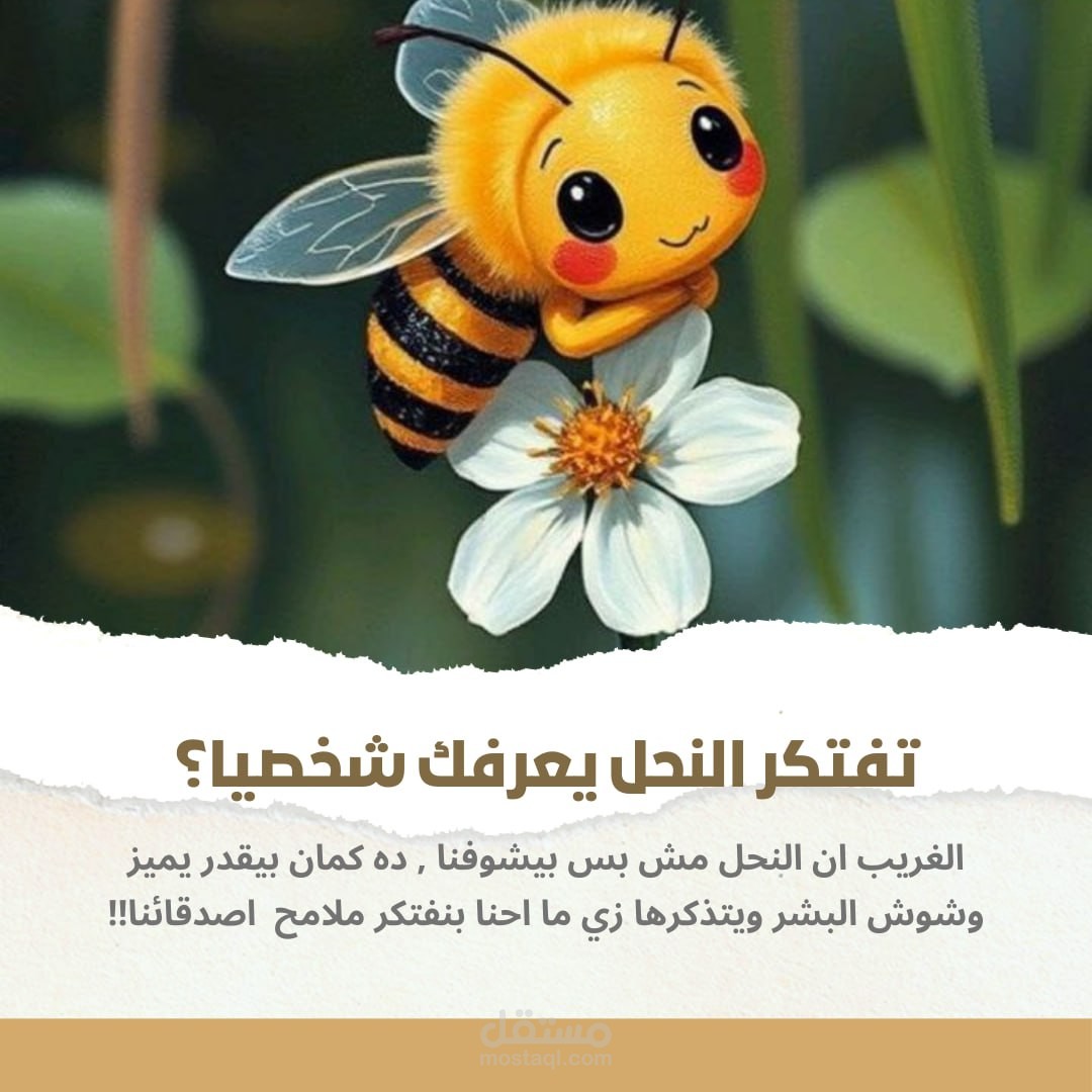 بوستر لمعلومة جديدة وشيقة