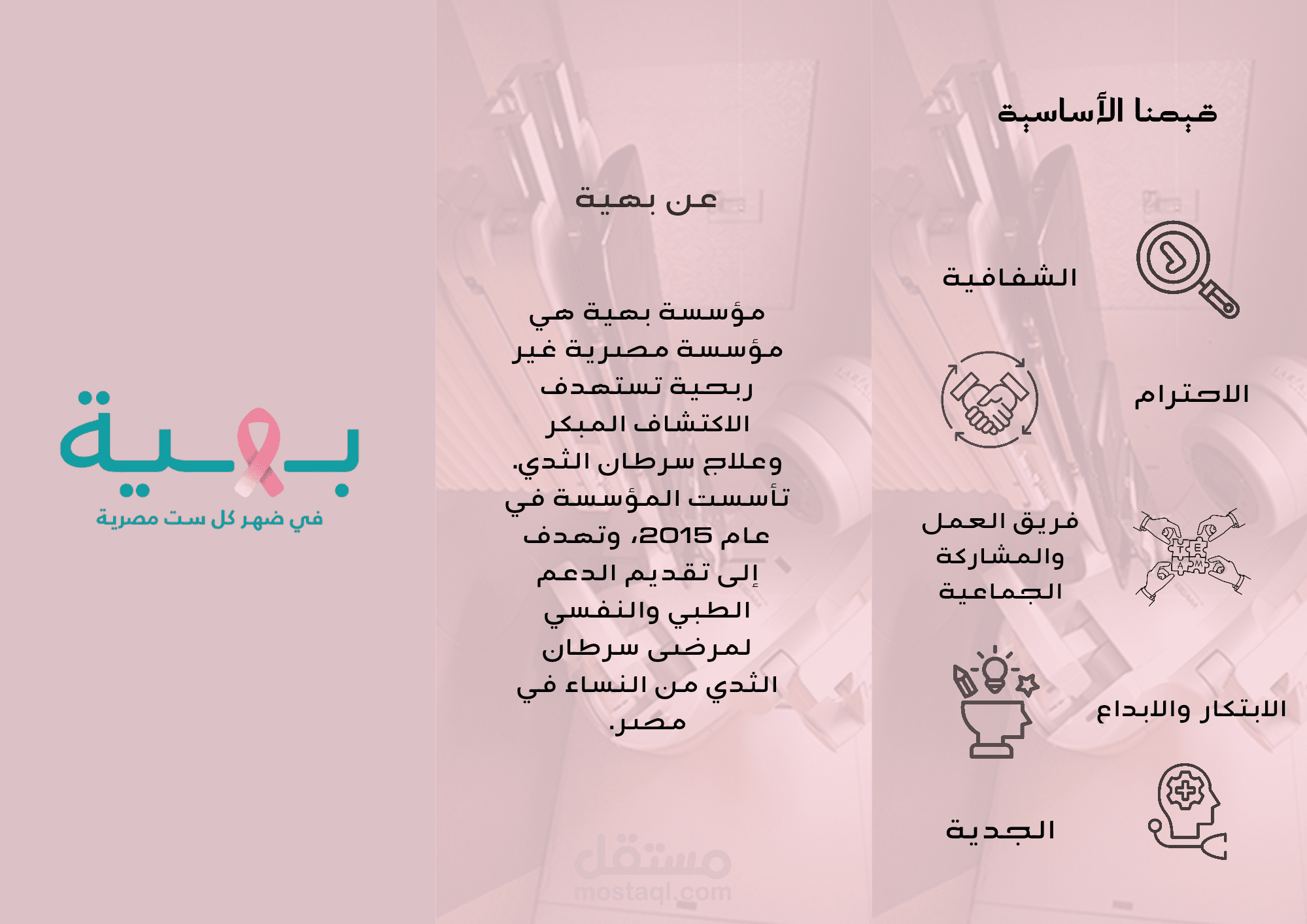 برشور عن مستشفى بهية