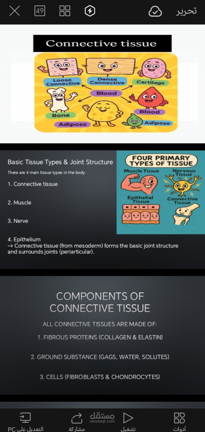 باور بوينت تم الconective tissue