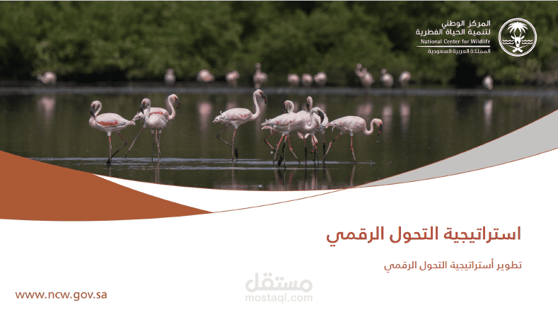 بناء الاستراتيجية لأحد الجهات الحكومية ومتابعة تنفيذها