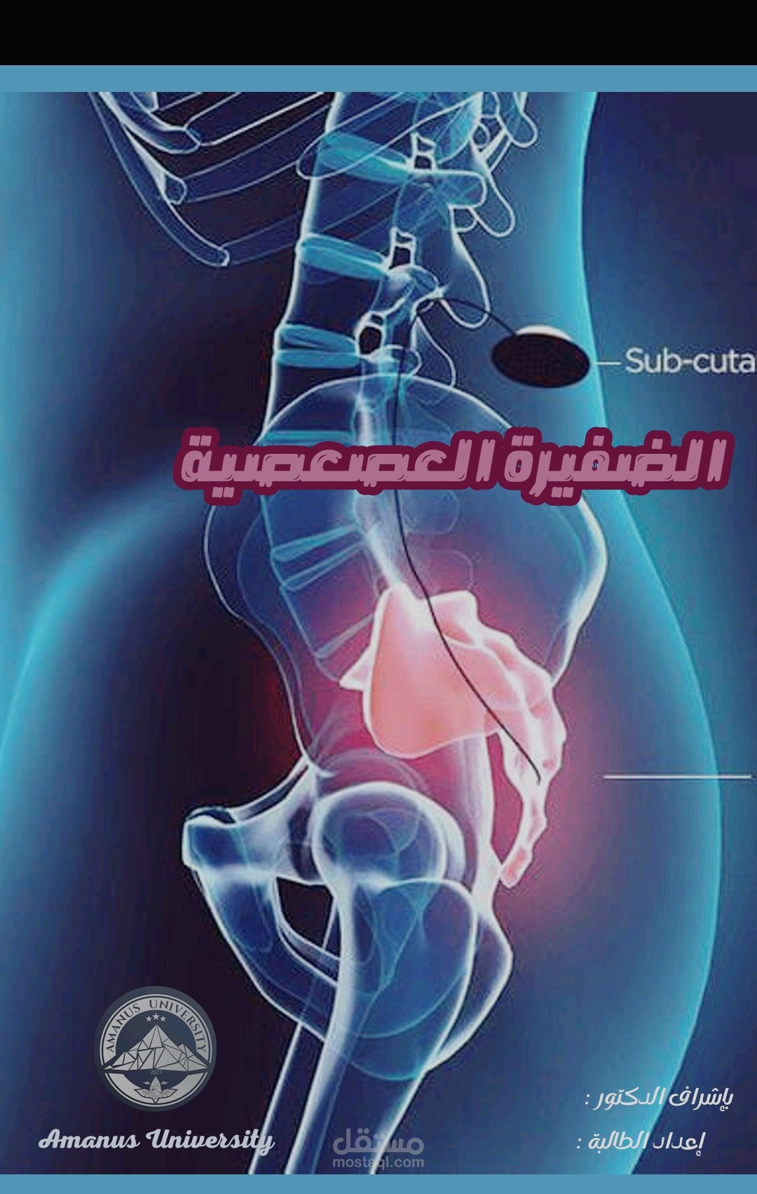 بحث الضفيرة العصعصية