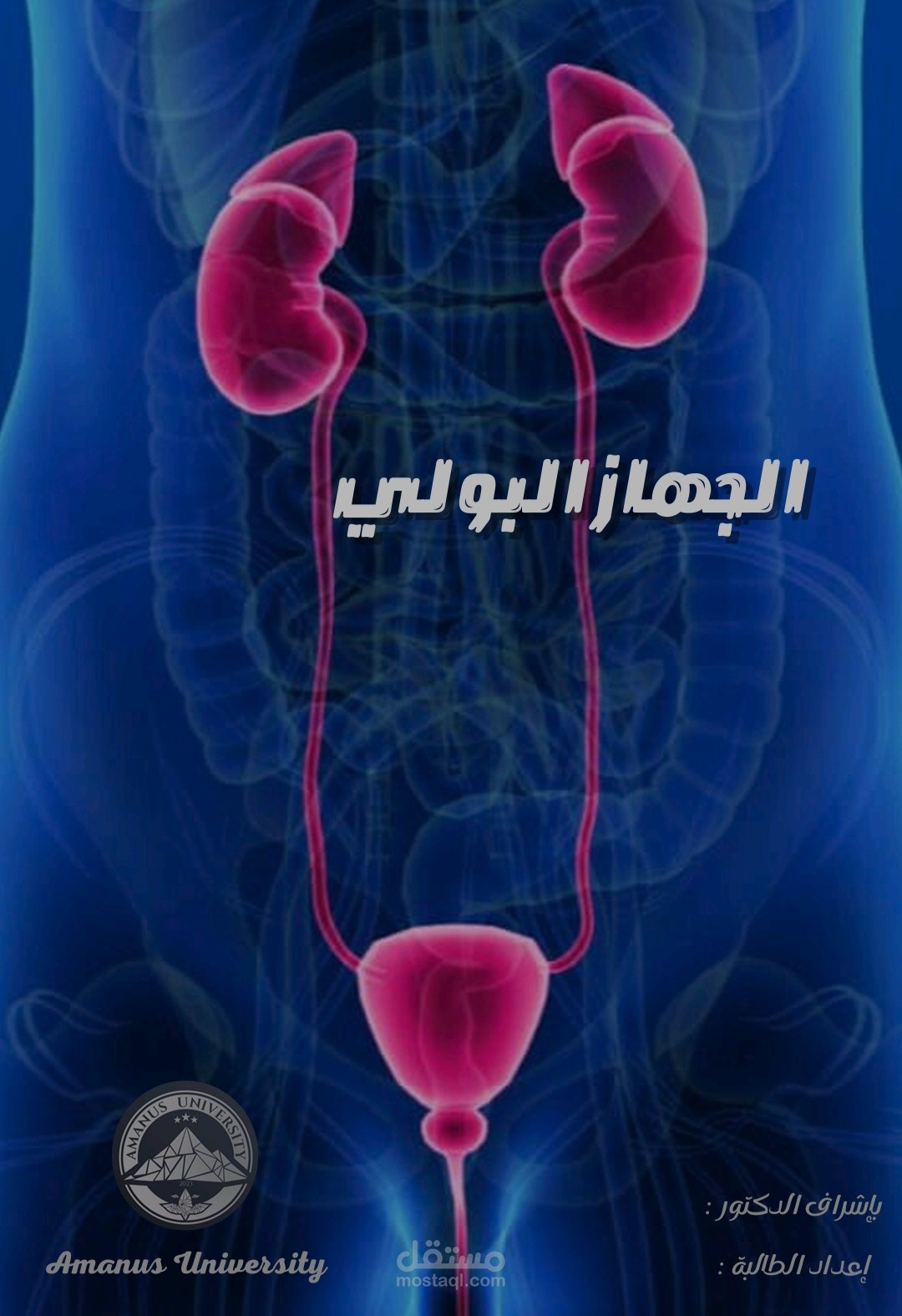 بحث الجهاز البولي
