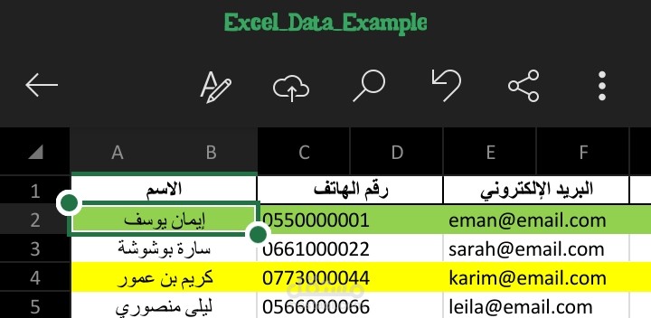 إدخال وتنظيم بيانات موظفين باستخدام Microsoft Excel