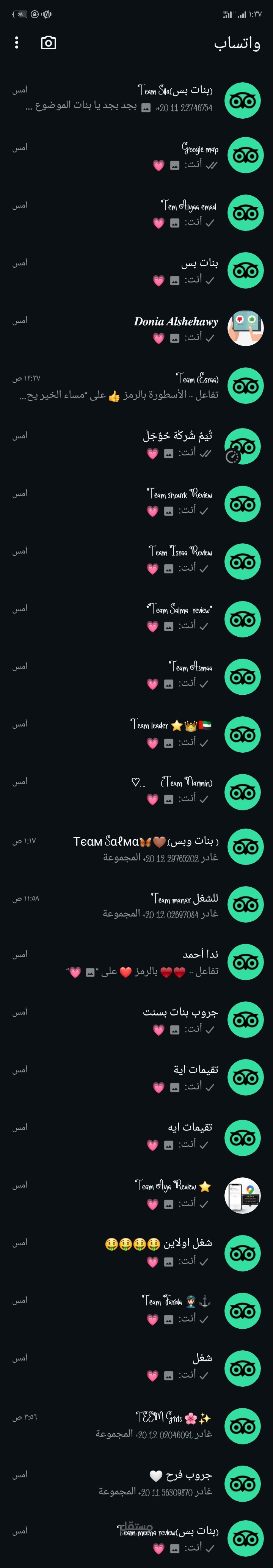 تقيمات تريب ادفايزر باحترافيه