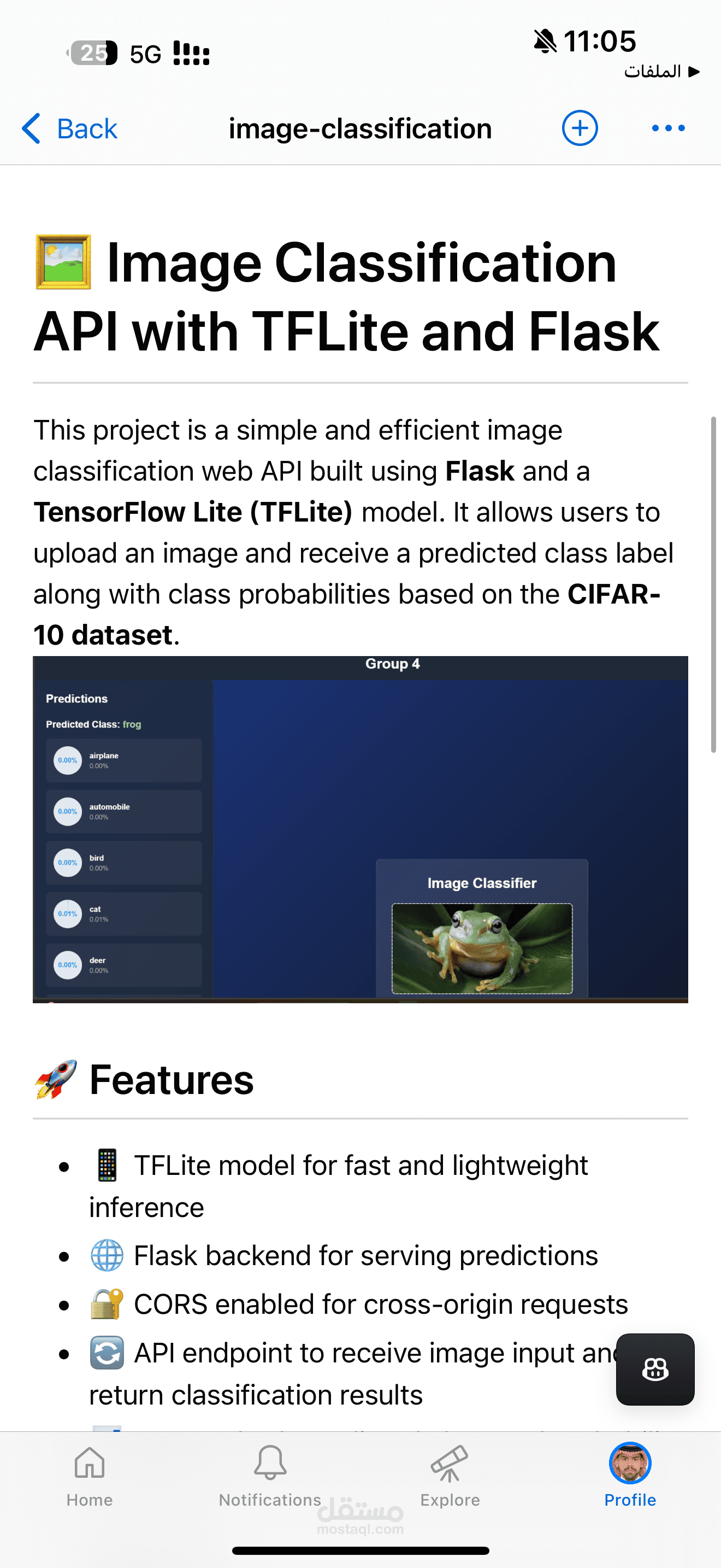 Image Classification with CNN