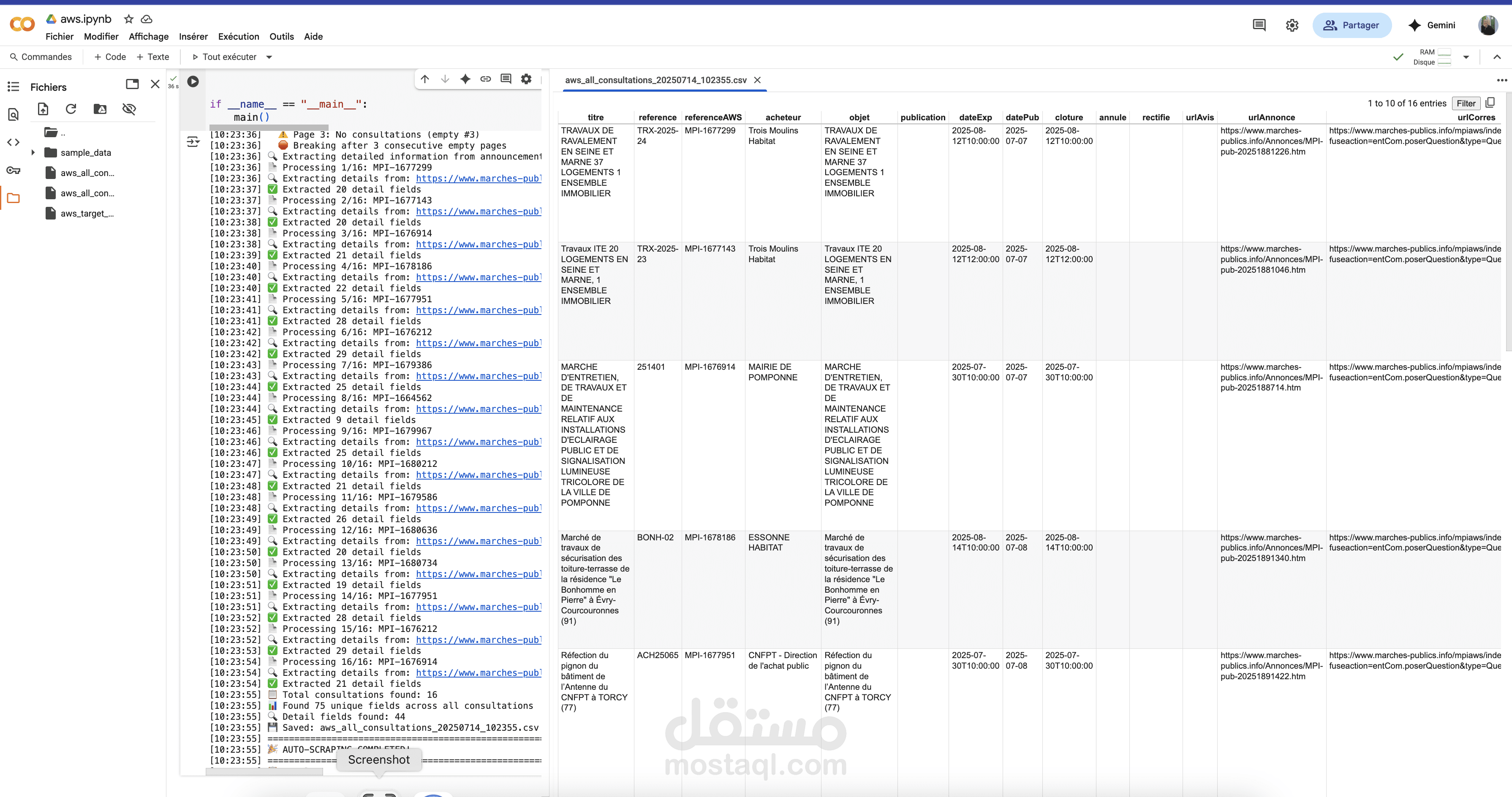 Data Extraction from awsolutions.fr & francemarches.fr