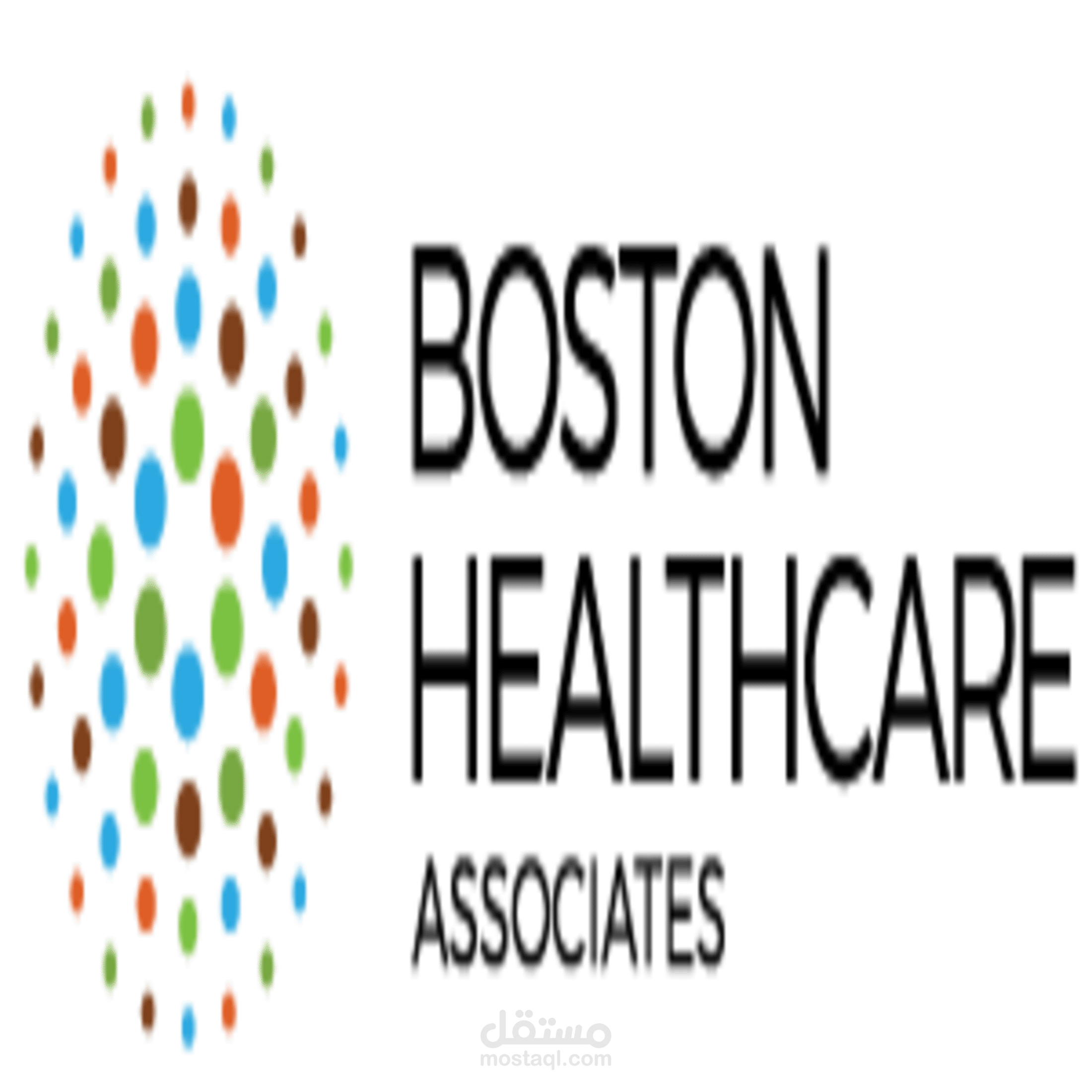 مقتطف من خطة عمل لبناء قسم تقني بشركة Boston Healthcare Associates