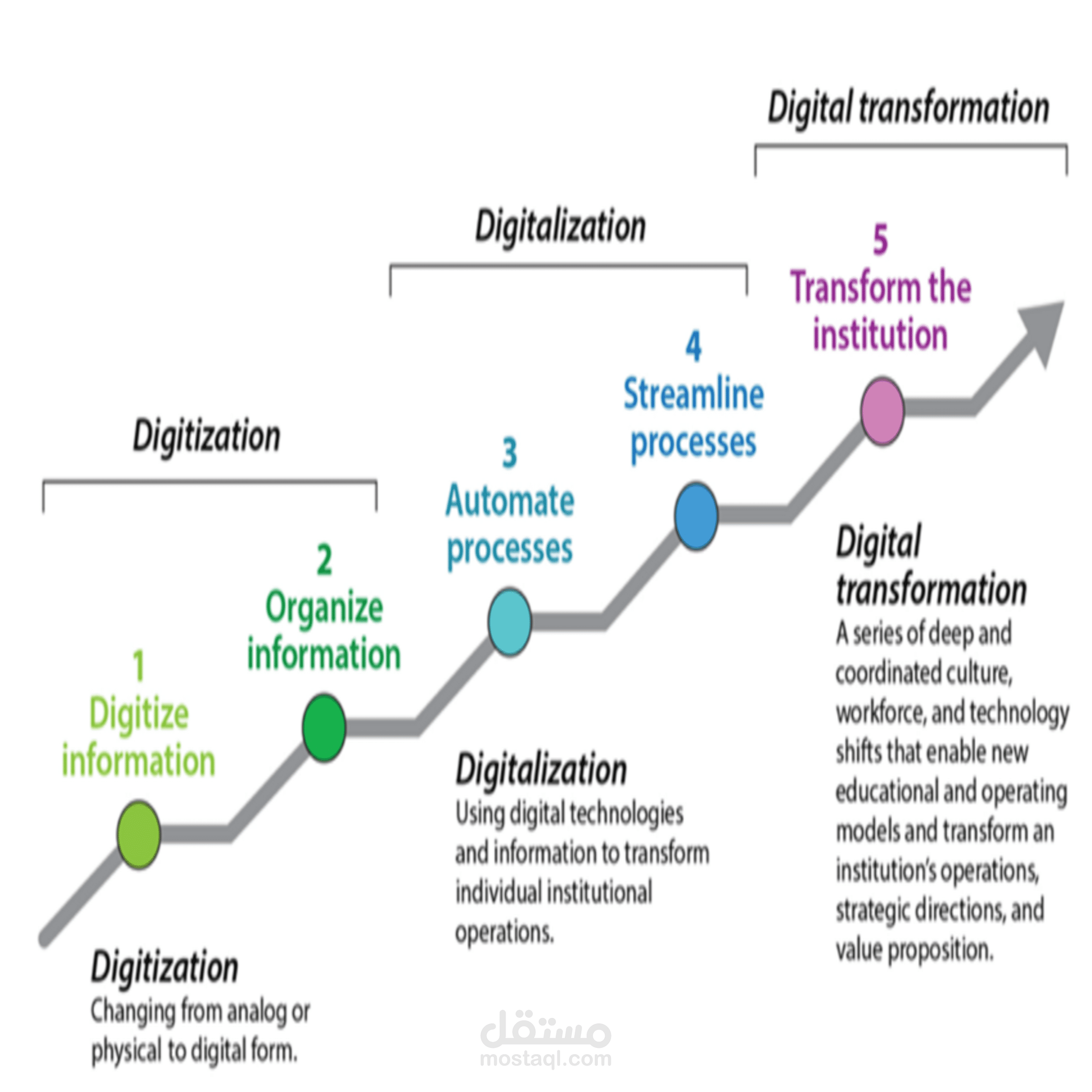 مبحث أدبي وعلمي في آن واحد حائز تقييم A+ (جامعة Harvard)