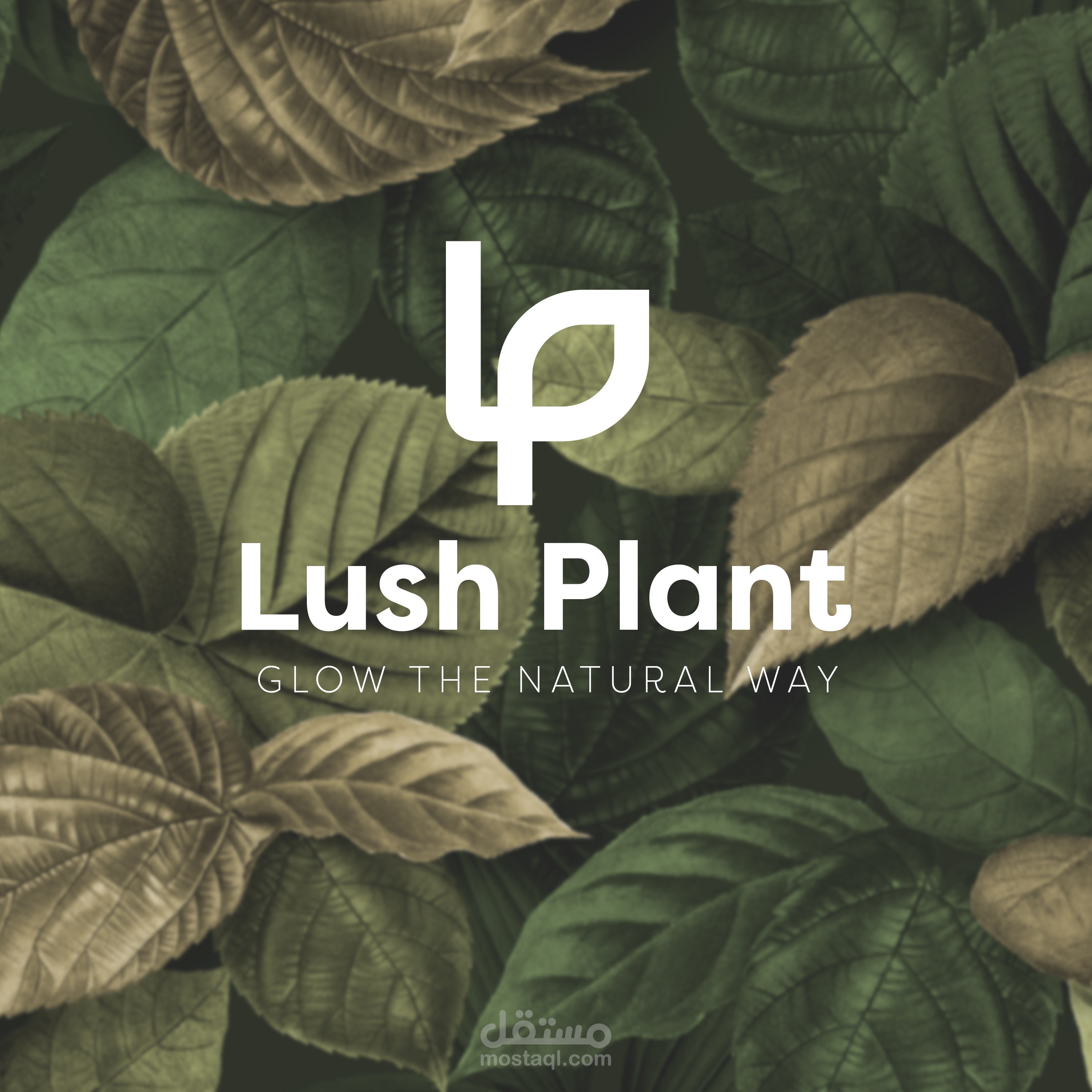 تصميم شعار وتغليف منتج – مشروع منفذ