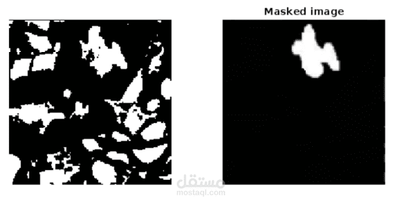 معالجة صور طبية وعزل ألوان باستخدام MATLAB