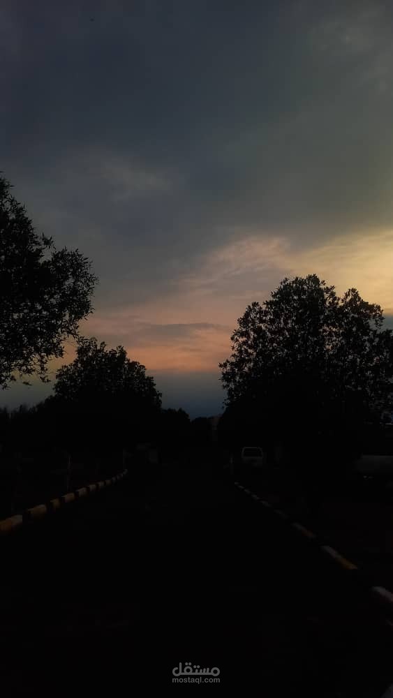 تعليق صوتي إخباري