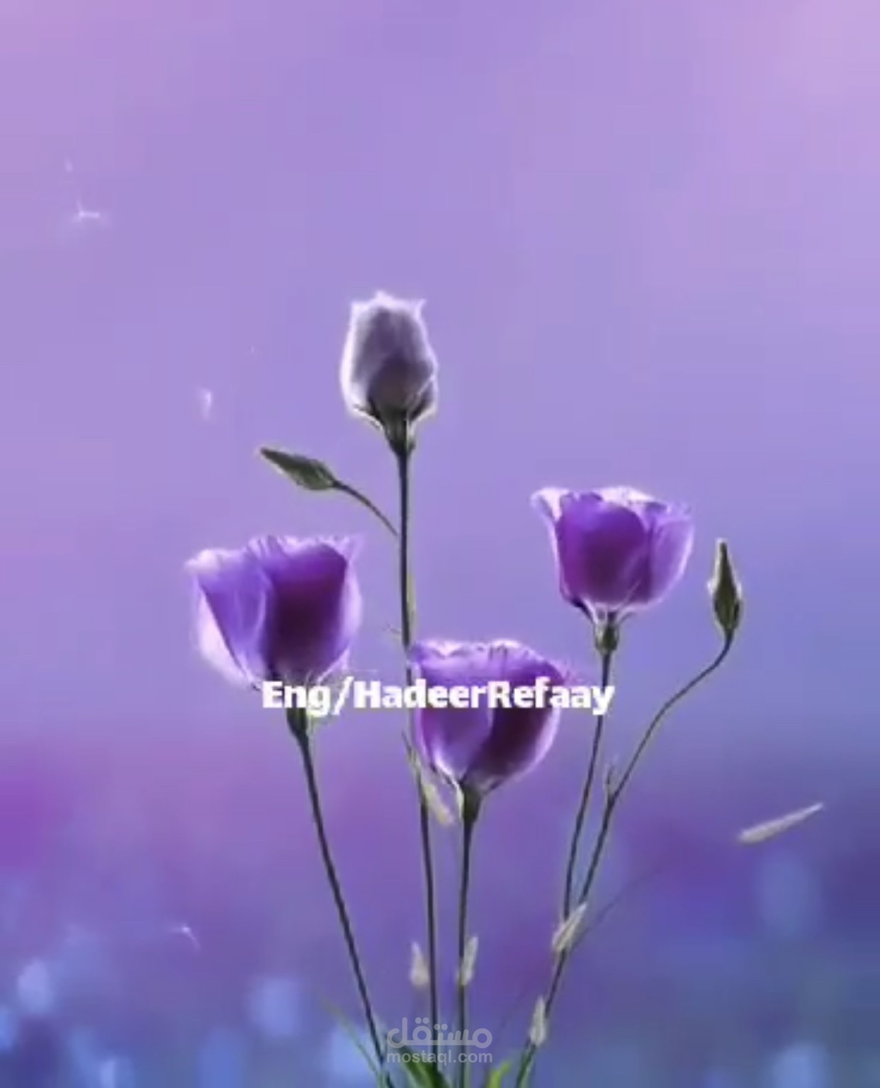 تعليق صوتى فيس بوك